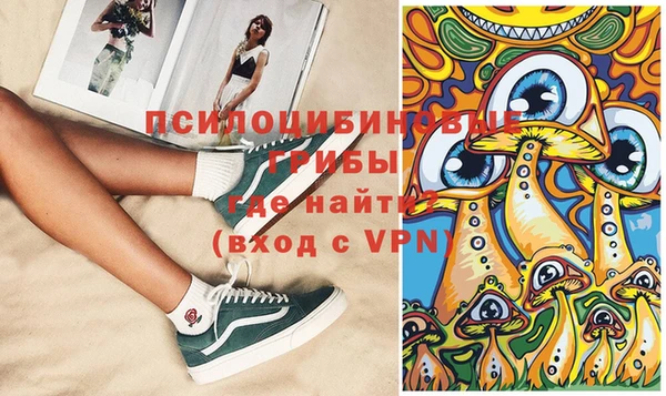 ECSTASY Майский