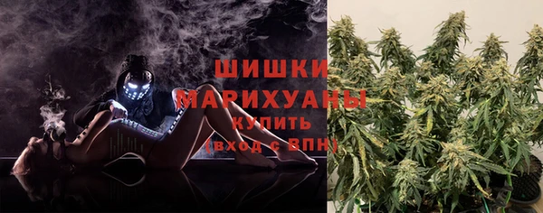 ECSTASY Майский